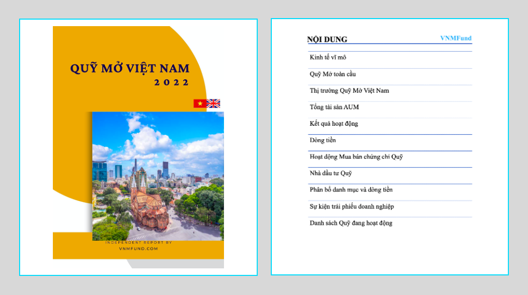 Báo cáo Quỹ Mở Việt Nam 2022